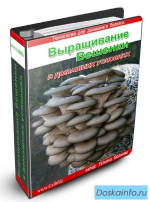 Работа дома. 