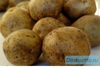 Продаю Овощи урожай 2009 года