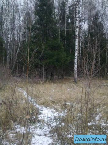 Участок 10 соток в Чеховском районе Моск. обл.