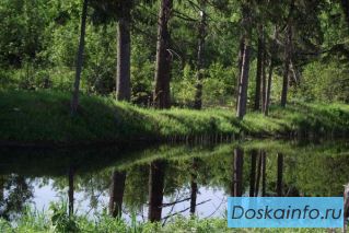 10 соток (39 000 рублей сотка) у Можайского моря