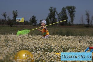 Перспективный земельный участок под строительство