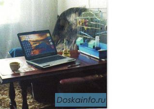 Работа  дома. Свое дело!
