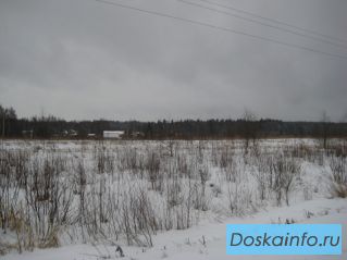 Продаются участки 14+5+1га, новорижское 110км от Москвы. Собственность.