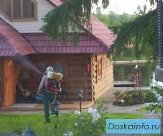 Уничтожение клопов, тараканов, комаров, клещей, крыс, мышей, ос в городе Клин и Клинском районе