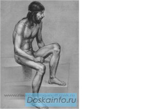 Репетитор по академическому рисунку из Строгановки