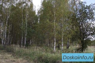 12 900 рублей сотка 98 км в  ДП 'Радужная Долина'