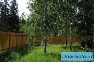 Продаю зем. участок 10 соток у Можайского моря.