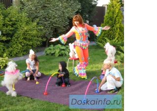 Дрессированные кошки и собаки. 