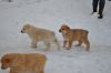Уменьшенная картинка