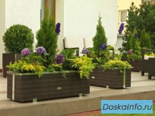 Цветочные горшки из искусственного ротанга.