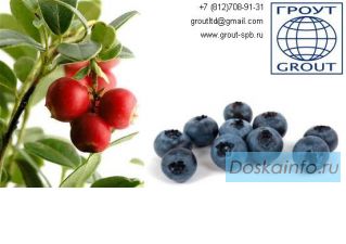 Продам чернику клюкву сушеную СПб