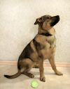 Уменьшенная картинка