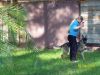 Передержка собак и кошек в г Железнодорожном