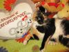 Уменьшенная картинка