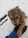 Уменьшенная картинка