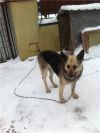 Уменьшенная картинка