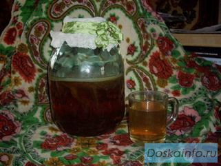 Продаю чайный гриб
