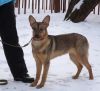 Уменьшенная картинка