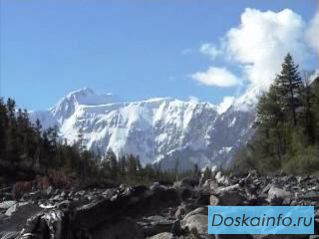 Белуха. Участок ИЖС в Усть-Коксинском районе, п.Кучерла.
