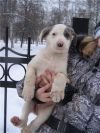 Уменьшенная картинка