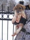 Уменьшенная картинка