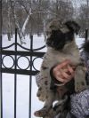 Уменьшенная картинка