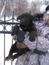 Уменьшенная картинка