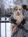 Уменьшенная картинка