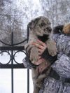 Уменьшенная картинка