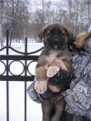 Уменьшенная картинка