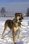 Уменьшенная картинка