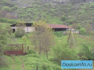 Продаётся ферма нкр село даграв (аскеранский район)