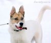 Уменьшенная картинка