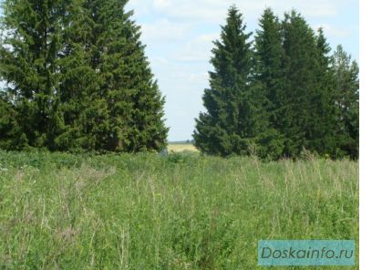 Продажа 12 соток в Калужской области