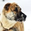 Уменьшенная картинка