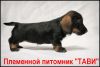Уменьшенная картинка
