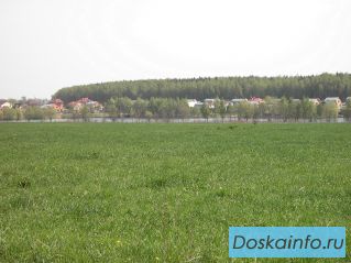 Продаем земельные участки под дачу