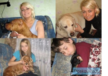Возьму собаку на время вашего отпуска