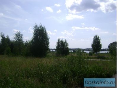 Продам 19 соток в д. Белое 100-150м. от р. Волга