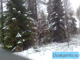 Продам участок Выборгский район (Огоньки)