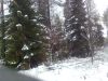 Продам участок Выборгский район (Огоньки)