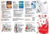 Уменьшенная картинка