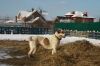 Уменьшенная картинка