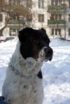 Уменьшенная картинка