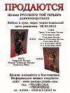 Щенки карманной собачки