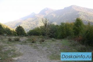 Земля на Красной Поляне