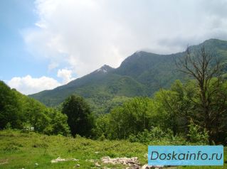 Участок на Красной Поляне