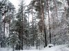 Уменьшенная картинка