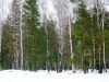 Уменьшенная картинка