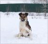 Уменьшенная картинка